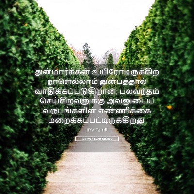 Picture 05 - யோபு 15:20 TAMIRV - துன்மார்க்கன் - Bible Verse Picture