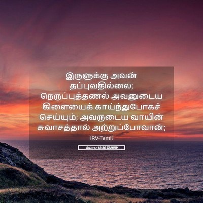 Picture 05 - யோபு 15:30 TAMIRV - இருளுக்கு அவன் - Bible Verse Picture