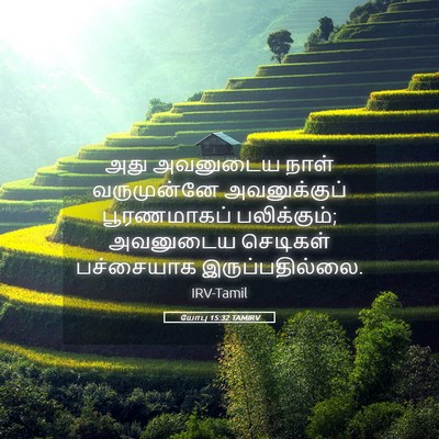 Picture 05 - யோபு 15:32 TAMIRV - அது அவனுடைய நாள் - Bible Verse Picture