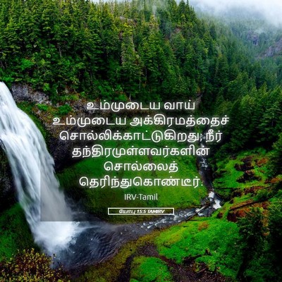 Picture 05 - யோபு 15:5 TAMIRV - உம்முடைய வாய் - Bible Verse Picture