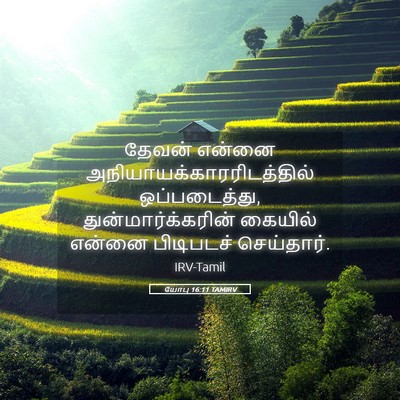 Picture 05 - யோபு 16:11 TAMIRV - தேவன் என்னை - Bible Verse Picture