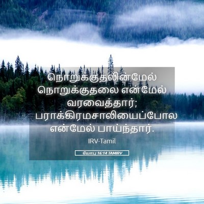 Picture 05 - யோபு 16:14 TAMIRV -  - Bible Verse Picture