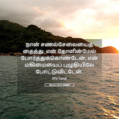 Picture 05 - யோபு 16:15 TAMIRV - நான் சணல்சேலையைத் - Bible Verse Picture