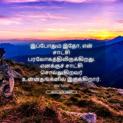 Picture 05 - யோபு 16:19 TAMIRV - இப்போதும் இதோ, என் - Bible Verse Picture