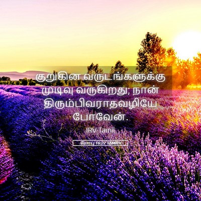 Picture 05 - யோபு 16:22 TAMIRV - குறுகின - Bible Verse Picture