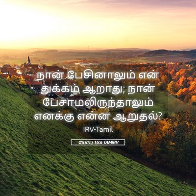Picture 05 - யோபு 16:6 TAMIRV - நான் பேசினாலும் - Bible Verse Picture
