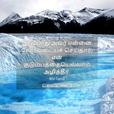 Picture 05 - யோபு 16:7 TAMIRV - இப்போது அவர் - Bible Verse Picture