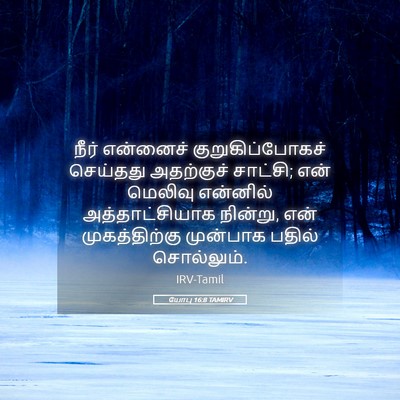 Picture 05 - யோபு 16:8 TAMIRV - நீர் என்னைச் - Bible Verse Picture