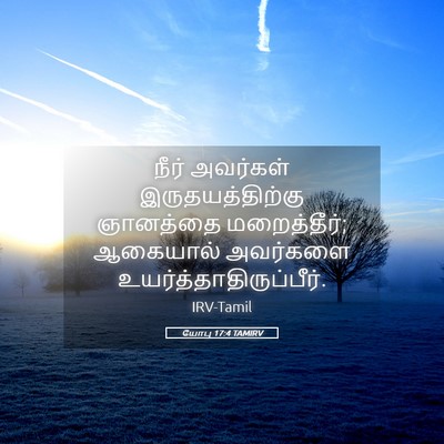 Picture 05 - யோபு 17:4 TAMIRV - நீர் அவர்கள் - Bible Verse Picture