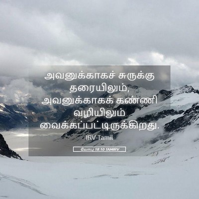 Picture 05 - யோபு 18:10 TAMIRV - அவனுக்காகச் - Bible Verse Picture