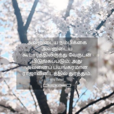Picture 05 - யோபு 18:14 TAMIRV - அவனுடைய நம்பிக்கை - Bible Verse Picture