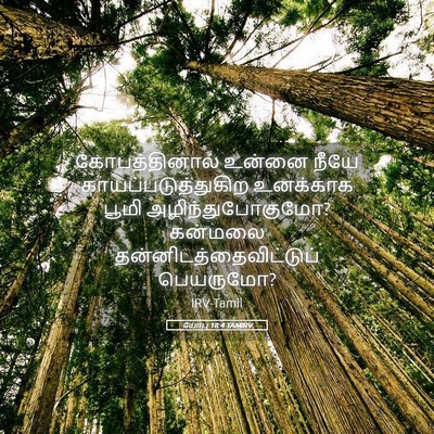 Picture 05 - யோபு 18:4 TAMIRV - கோபத்தினால் உன்னை - Bible Verse Picture
