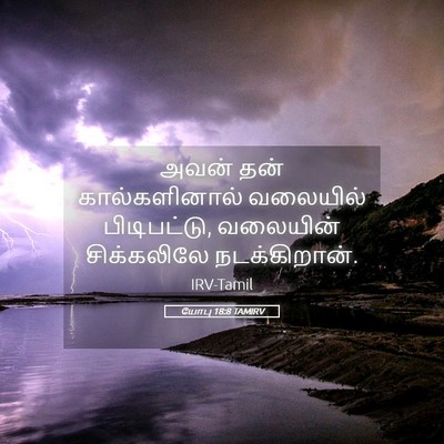 Picture 05 - யோபு 18:8 TAMIRV - அவன் தன் - Bible Verse Picture