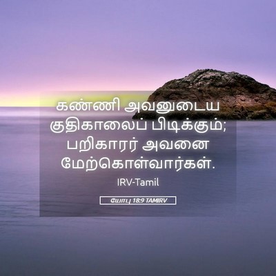 Picture 05 - யோபு 18:9 TAMIRV - கண்ணி அவனுடைய - Bible Verse Picture