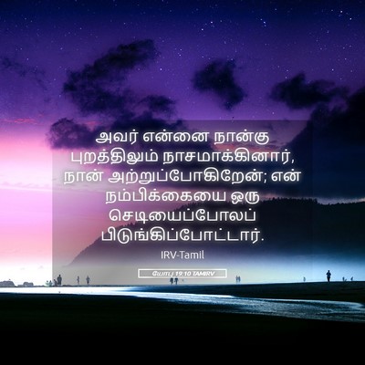 Picture 05 - யோபு 19:10 TAMIRV - அவர் என்னை நான்கு - Bible Verse Picture