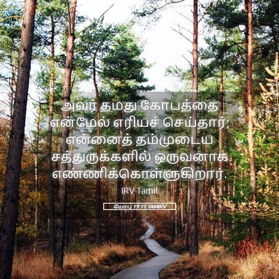 Picture 05 - யோபு 19:11 TAMIRV - அவர் தமது கோபத்தை - Bible Verse Picture