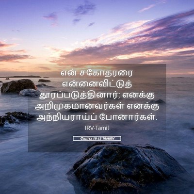 Picture 05 - யோபு 19:13 TAMIRV - என் சகோதரரை - Bible Verse Picture