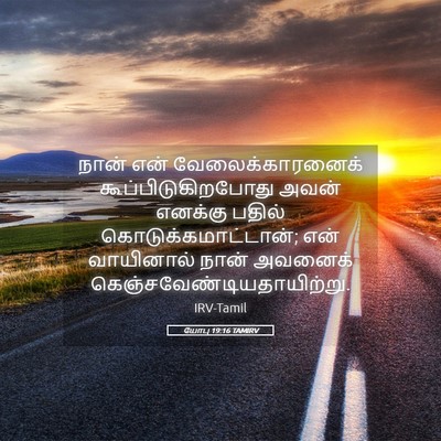 Picture 05 - யோபு 19:16 TAMIRV - நான் என் - Bible Verse Picture