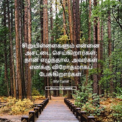 Picture 05 - யோபு 19:18 TAMIRV - சிறுபிள்ளைகளும் - Bible Verse Picture