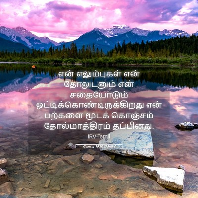 Picture 05 - யோபு 19:20 TAMIRV - என் எலும்புகள் - Bible Verse Picture