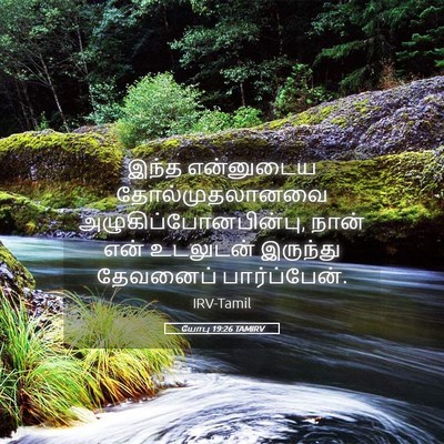 Picture 05 - யோபு 19:26 TAMIRV - இந்த என்னுடைய - Bible Verse Picture