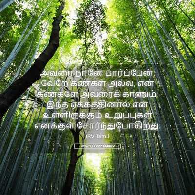 Picture 05 - யோபு 19:27 TAMIRV - அவரை நானே - Bible Verse Picture