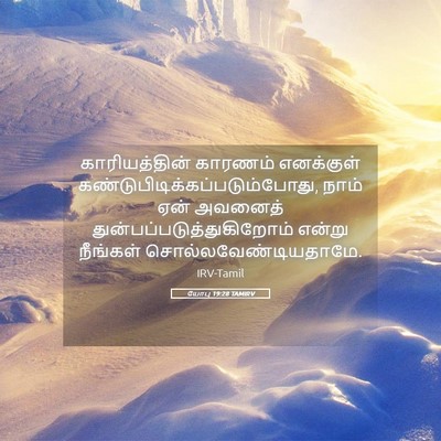 Picture 05 - யோபு 19:28 TAMIRV - காரியத்தின் - Bible Verse Picture
