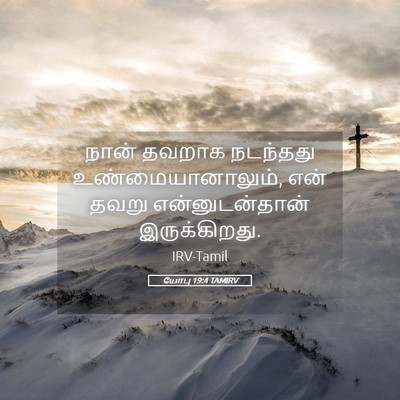Picture 05 - யோபு 19:4 TAMIRV - நான் தவறாக - Bible Verse Picture