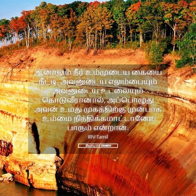 Picture 05 - யோபு 2:5 TAMIRV - ஆனாலும் நீர் - Bible Verse Picture