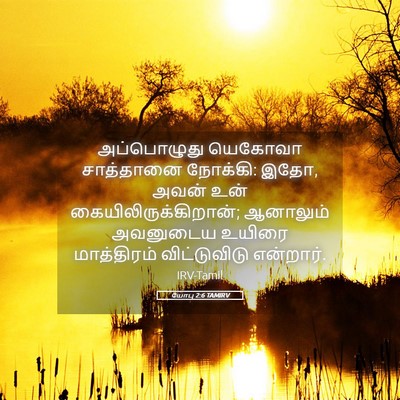 Picture 05 - யோபு 2:6 TAMIRV - அப்பொழுது யெகோவா - Bible Verse Picture