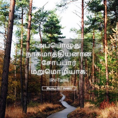 Picture 05 - யோபு 20:1 TAMIRV - அப்பொழுது - Bible Verse Picture