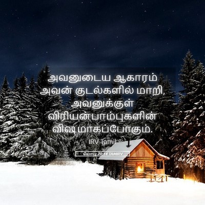 Picture 05 - யோபு 20:14 TAMIRV - அவனுடைய ஆகாரம் - Bible Verse Picture