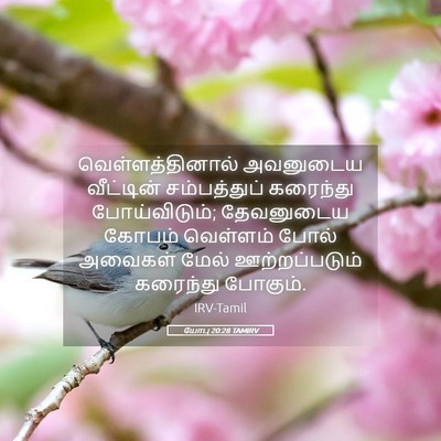 Picture 05 - யோபு 20:28 TAMIRV - வெள்ளத்தினால் - Bible Verse Picture