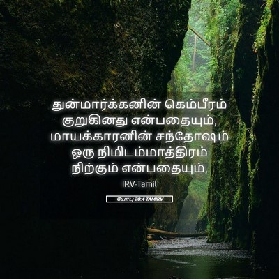 Picture 05 - யோபு 20:4 TAMIRV - துன்மார்க்கனின் - Bible Verse Picture
