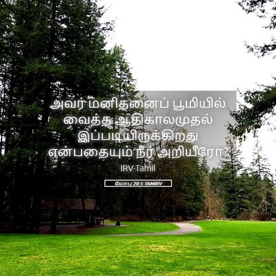 Picture 05 - யோபு 20:5 TAMIRV - அவர் மனிதனைப் - Bible Verse Picture