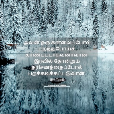 Picture 05 - யோபு 20:8 TAMIRV - அவன் ஒரு - Bible Verse Picture