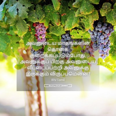 Picture 05 - யோபு 21:21 TAMIRV - அவனுடைய - Bible Verse Picture
