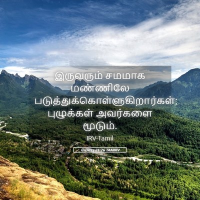 Picture 05 - யோபு 21:26 TAMIRV - இருவரும் சமமாக - Bible Verse Picture