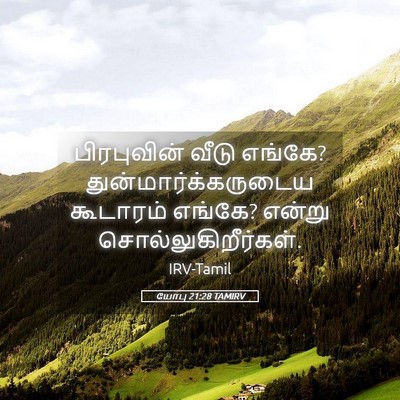 Picture 05 - யோபு 21:28 TAMIRV - பிரபுவின் வீடு - Bible Verse Picture