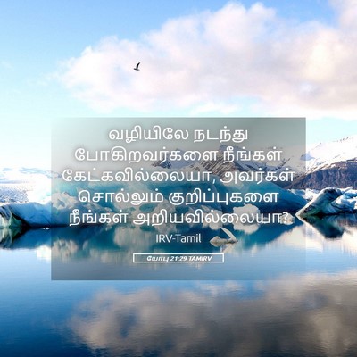 Picture 05 - யோபு 21:29 TAMIRV - வழியிலே நடந்து - Bible Verse Picture
