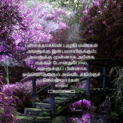 Picture 05 - யோபு 21:33 TAMIRV - பள்ளத்தாக்கின் - Bible Verse Picture