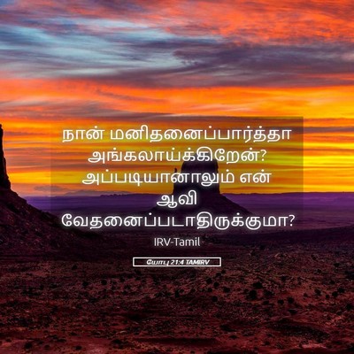 Picture 05 - யோபு 21:4 TAMIRV - நான் - Bible Verse Picture