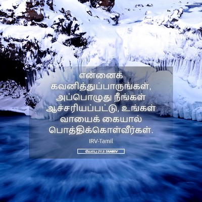 Picture 05 - யோபு 21:5 TAMIRV - என்னைக் - Bible Verse Picture