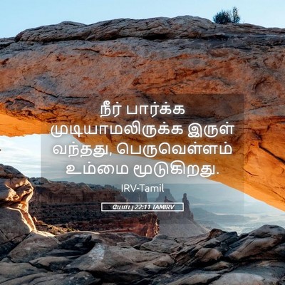 Picture 05 - யோபு 22:11 TAMIRV - நீர் பார்க்க - Bible Verse Picture