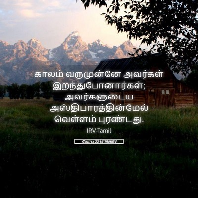 Picture 05 - யோபு 22:16 TAMIRV - காலம் வருமுன்னே - Bible Verse Picture