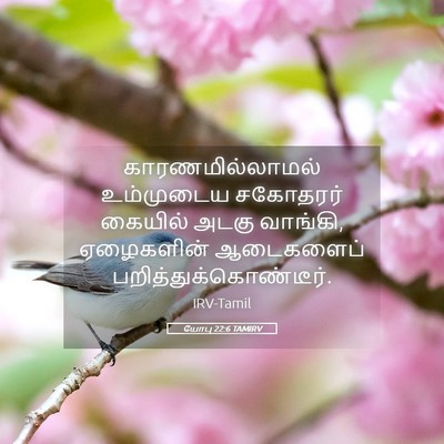 Picture 05 - யோபு 22:6 TAMIRV - காரணமில்லாமல் - Bible Verse Picture