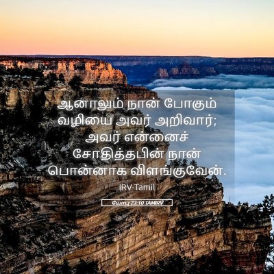 Picture 05 - யோபு 23:10 TAMIRV - ஆனாலும் நான் - Bible Verse Picture