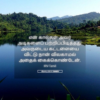 Picture 05 - யோபு 23:11 TAMIRV - என் கால்கள் அவர் - Bible Verse Picture