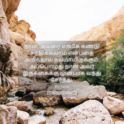 Picture 05 - யோபு 23:3 TAMIRV - நான் அவரை எங்கே - Bible Verse Picture