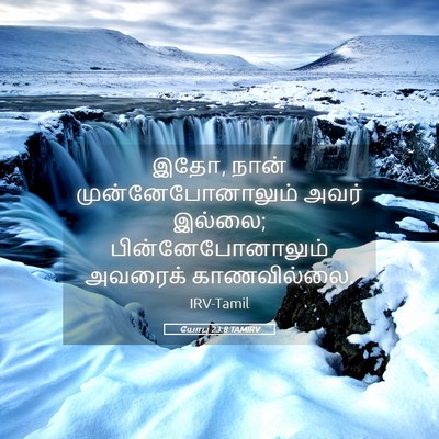 Picture 05 - யோபு 23:8 TAMIRV - இதோ, நான் - Bible Verse Picture